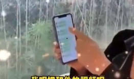 张兰爆料卖房了吗视频,揭秘她爆料的背后故事