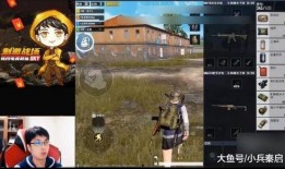 壮哥爆料吃鸡视频播放在线观看,吃鸡视频直播，精彩瞬间在线放送！