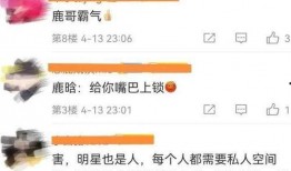 狗仔爆料流程视频大全,视频大全带你一探究竟