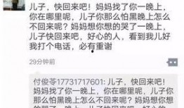 失踪男孩最新爆料视频,惊人细节曝光，真相渐浮水面