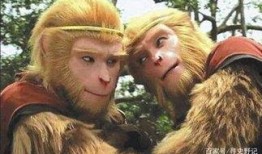 六二猕猴爆料是真的吗视频,六二猕猴爆料视频真实性揭秘