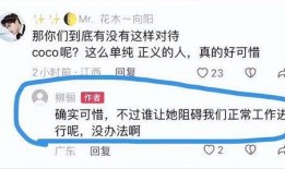 明星爆料蓝台视频播放,揭秘蓝台视频播放背后的明星爆料真相