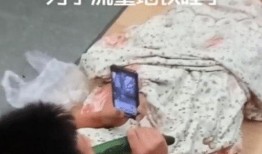 网红睡觉吃瓜视频,揭秘网络红人的日常娱乐生活