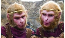 六二猕猴爆料是真的吗视频,六二猕猴爆料视频真实性揭秘