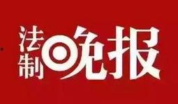 鸭货爆料新闻,揭秘娱乐圈惊人内幕