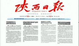 陕西男子爆料新闻报道,揭露惊人真相，揭开背后黑幕