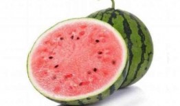 吃瓜在线免费缅甸