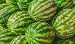 最大的免费吃瓜网站,全网最大免费吃瓜平台，海量资讯等你来尝鲜！