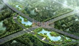 鸟瞰图伦理片在线观看,揭秘现代社会的道德困境