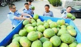 禹城网红吃瓜群微信