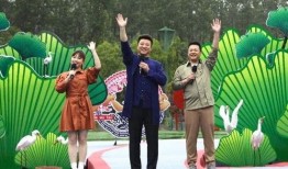 林州爆料新闻最新视频网,视频揭露惊人真相，网友热议不断！