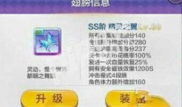 新风之翼爆料视频大全集,揭秘幕后真相与精彩瞬间