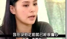 江达琳前男友爆料视频大全,揭秘情感纠葛背后的真相