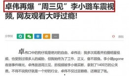 李小璐 卓伟最新爆料,卓伟最新爆料揭露惊人内幕