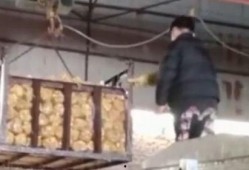 消毒液爆料视频播放,视频爆料揭示消毒液背后的秘密