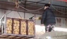 消毒液爆料视频播放,视频爆料揭示消毒液背后的秘密