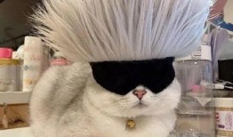 返厂最新爆料图片搞笑大全,笑料百出，揭秘生产线背后的欢乐瞬间