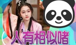 娱乐大瓜爆料合集,大瓜爆料合集深度解析