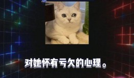 娱乐圈吃瓜游戏有哪些,揭秘明星幕后故事与娱乐八卦大揭秘