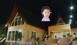 明星被爆料黑历史视频播放,揭秘娱乐圈不为人知的真相