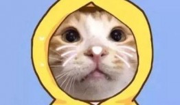 返厂最新爆料图片搞笑大全,笑料百出，揭秘生产线背后的欢乐瞬间