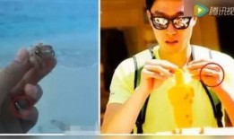 左手女友爆料结婚视频,幸福瞬间感动网友
