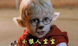 小狼人电影在线观看,在线观看，探寻神秘狼人世界的奇幻之旅