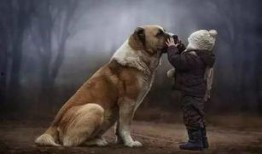 三人一狗最新爆料,揭秘娱乐圈背后的真实故事