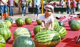 最大的免费吃瓜网站,全网最大免费吃瓜平台，海量资讯等你来尝鲜！