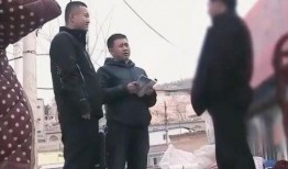 榆林老头爆料视频大全集,视频大全集深度解析