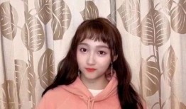 娱乐圈小黑爆料白鹿视频