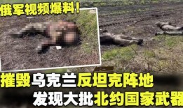 乌克兰爆料视频,乌克兰爆料视频揭露惊人内幕
