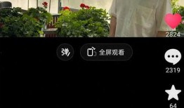 董宇辉视频爆料最新消息,揭秘娱乐圈惊人内幕！