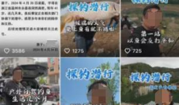 宇哥爆料视频大全最新一期,揭秘娱乐圈幕后真相