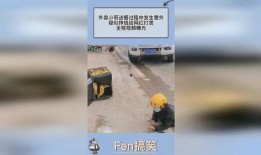 网红外卖爆料视频大全,揭秘美食背后的秘密