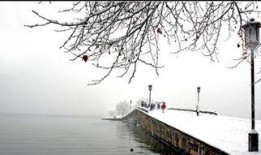 在线观看断桥36,揭秘民国风云中的生死较量