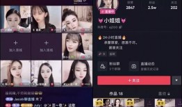 天兴二嫂连麦爆料视频,揭秘背后惊人内幕