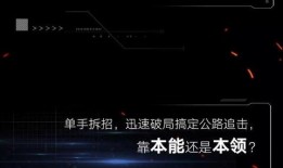 周五爆料预告视频,揭秘神秘事件，悬念重重引期待