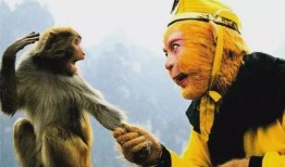 六二猕猴爆料是真的吗视频,六二猕猴爆料视频真实性揭秘