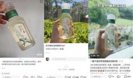 爆料东方树叶的视频,从视频爆料看其神秘面纱