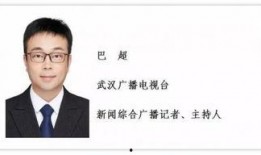 武汉市新闻爆料的记者是谁,武汉市新闻爆料记者身份曝光