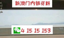 六叔公最新爆料网站,网站内幕大曝光！