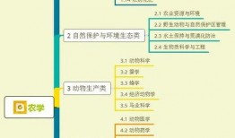 榆林老头爆料视频大全集,视频大全集深度解析