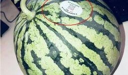 柳州网红吃瓜,揭秘网络红人的幕后故事