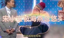 海燕爆料小沈阳视频,小沈阳神秘视频曝光，背后故事引人猜测
