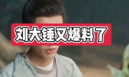 刘大锤爆料啥事件了啊视频,揭秘某重大事件内幕