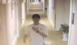 最新圈内爆料胡一天