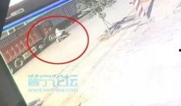 爆料女子被车压身亡视频,女子遭车压身亡，监控视频曝光惊心动魄一幕