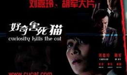 电影好奇害死猫在线观看,揭秘电影背后的悬疑世界