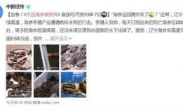 爆料海参被打视频大全,海洋生态危机引关注